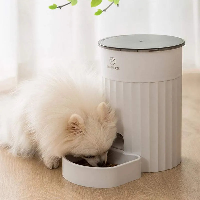 Intelligent Automatic Pet Feeder "iFeeed" Pet Supplies - Tophatter Daily Deals