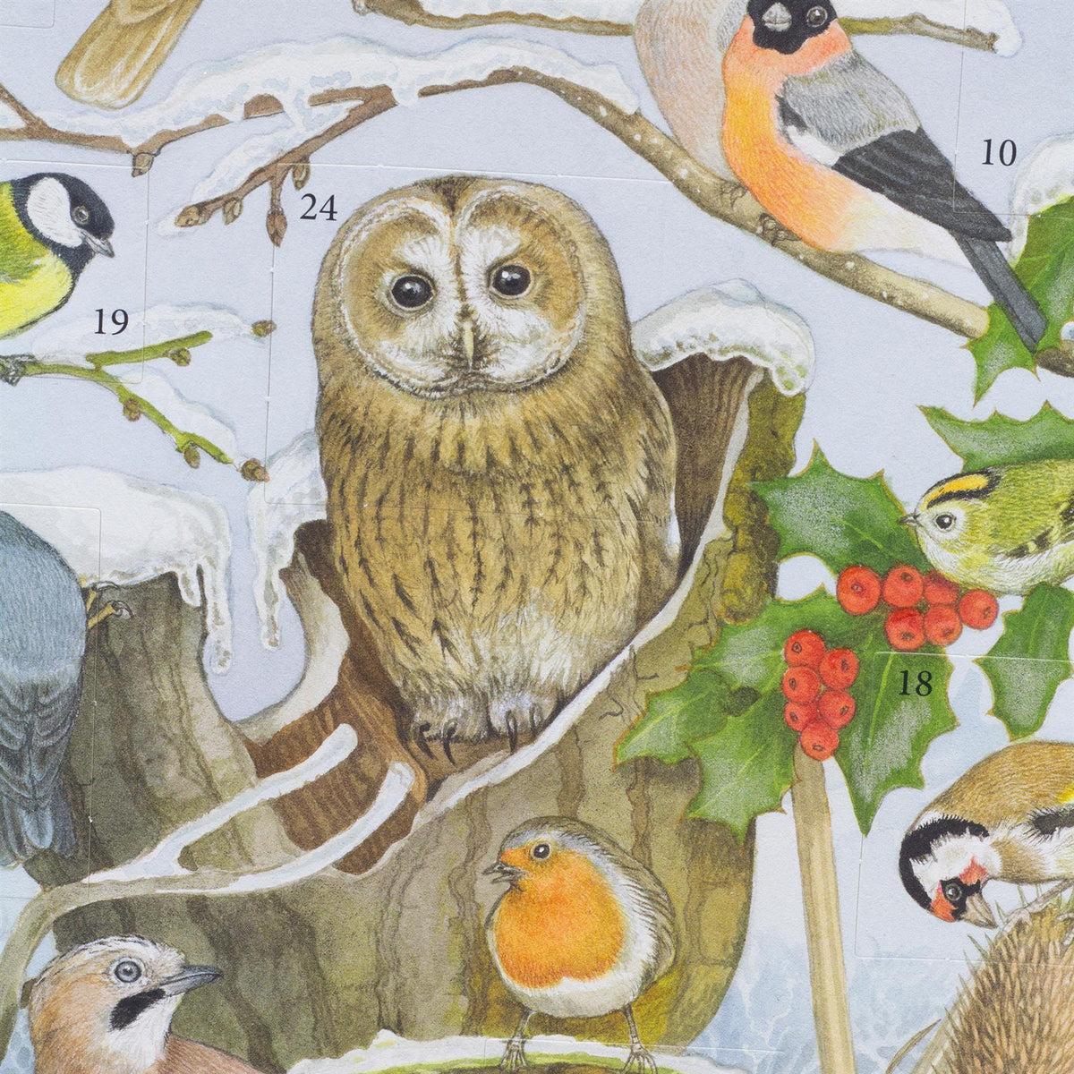 Birds in Winter Christmas Advent Calendar with Sound | Birdsong Advent Calendar Advent Calendar - Tophatter Daily Deals
