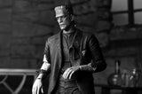 Bride of Frankenstein (Black & White) – Universal Monsters Ultimate Frankenstein's Monster Action Figure Action Figure - Tophatter Daily Deals