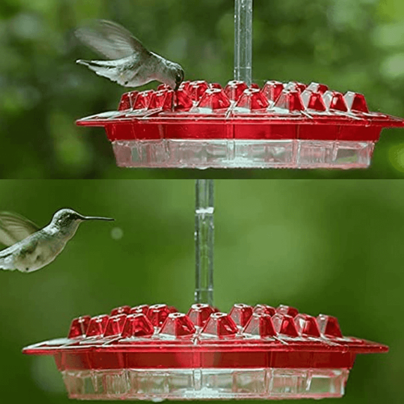 Hummingbird Feeder Ant Proof Outdoor Hanging Perch Hex - Tophatter Daily Deals