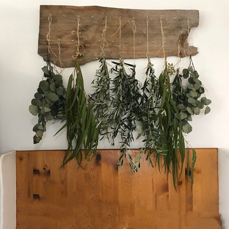 Bath Home Decor Natural Dried Flowers Lavender Immortal Eucalyptus Leaves 0 - Tophatter Daily Deals