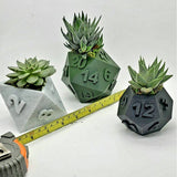 3D Printed Plant Pot Table Top RPG Dice Succulent Planter Set Home Decoration Multifunction Garden Flower Pot 0 - Tophatter Daily Deals