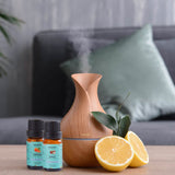 10-Pack: Fruity Fragrance Premium Aromatherapy Diffuser Oils Set For Candle & Soap Making Health & Wellness - Tophatter Daily Deals