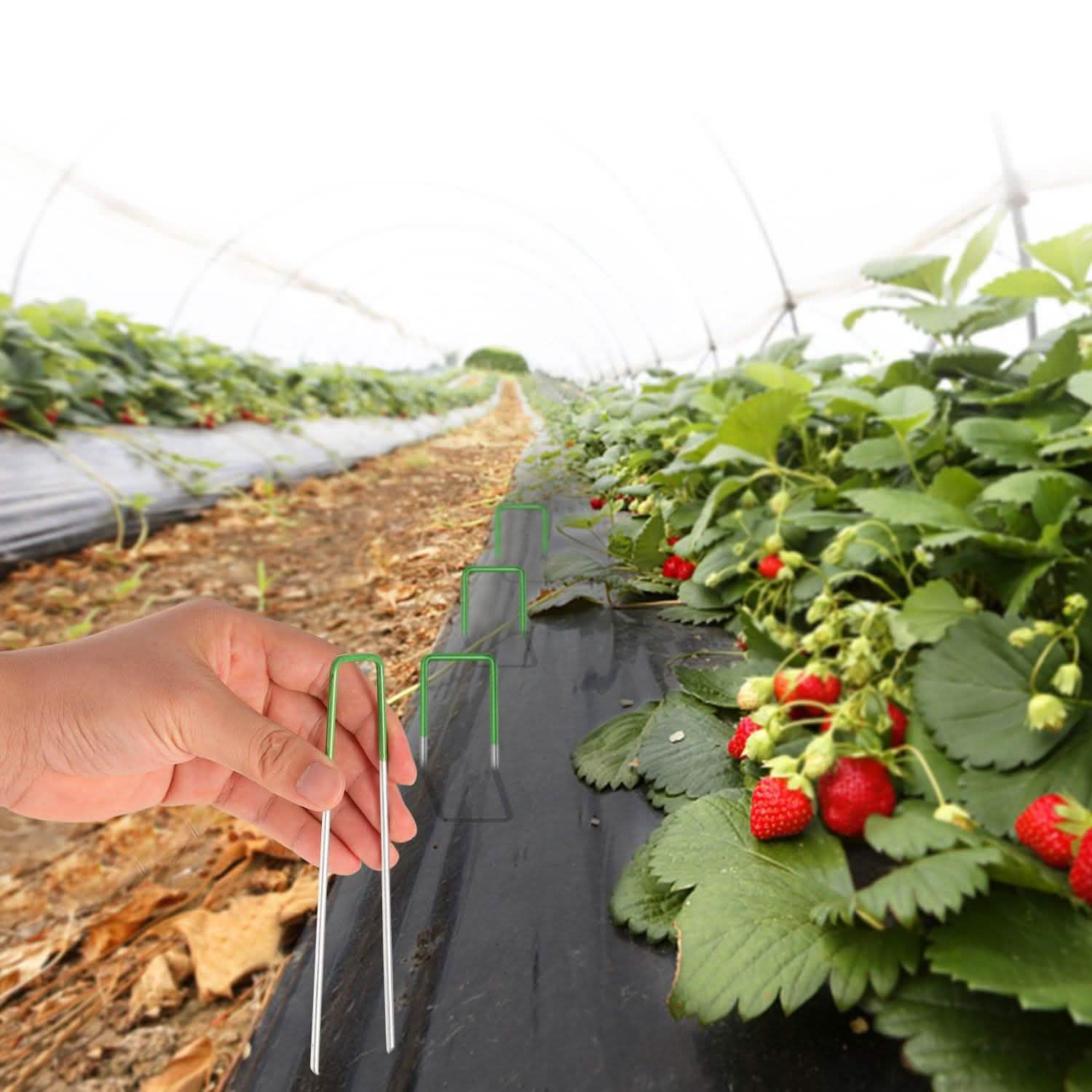 10-Piece: 6-Inch U-Type Garden Landscape Rust Resistance Turf Staples Garden & Patio - Tophatter Daily Deals