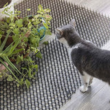 10-Piece: Cat Repellent Scat Mat with Spikes Pet Supplies - Tophatter Daily Deals