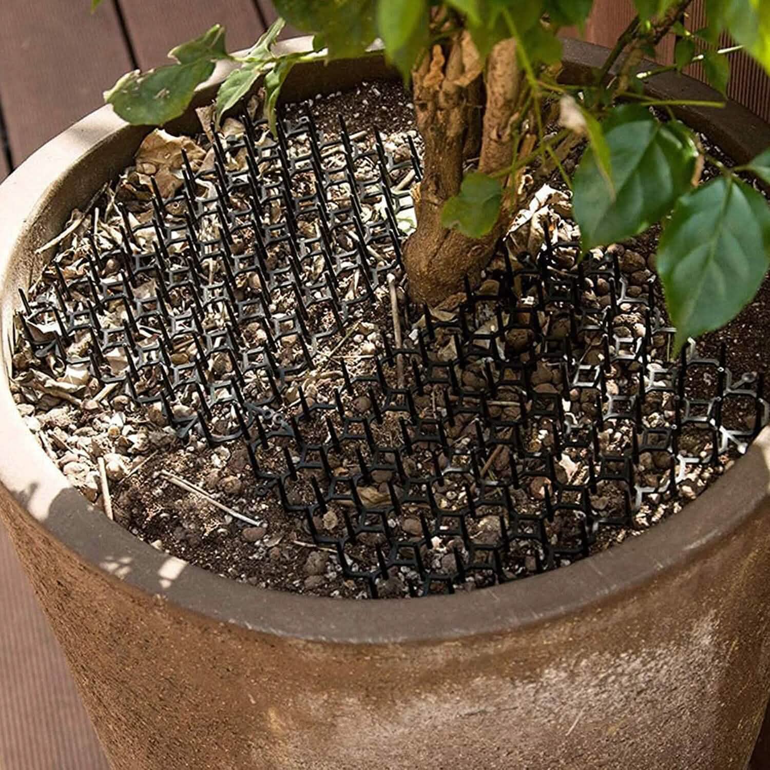10-Piece: Cat Repellent Scat Mat with Spikes Pet Supplies - Tophatter Daily Deals