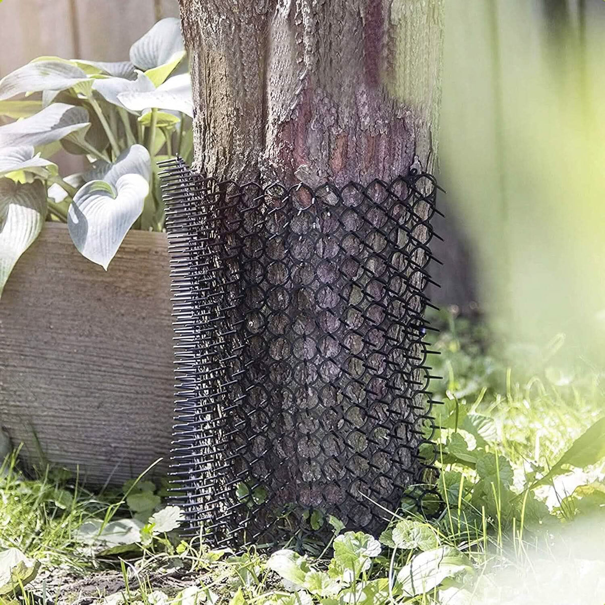 10-Piece: Cat Repellent Scat Mat with Spikes Pet Supplies - Tophatter Daily Deals