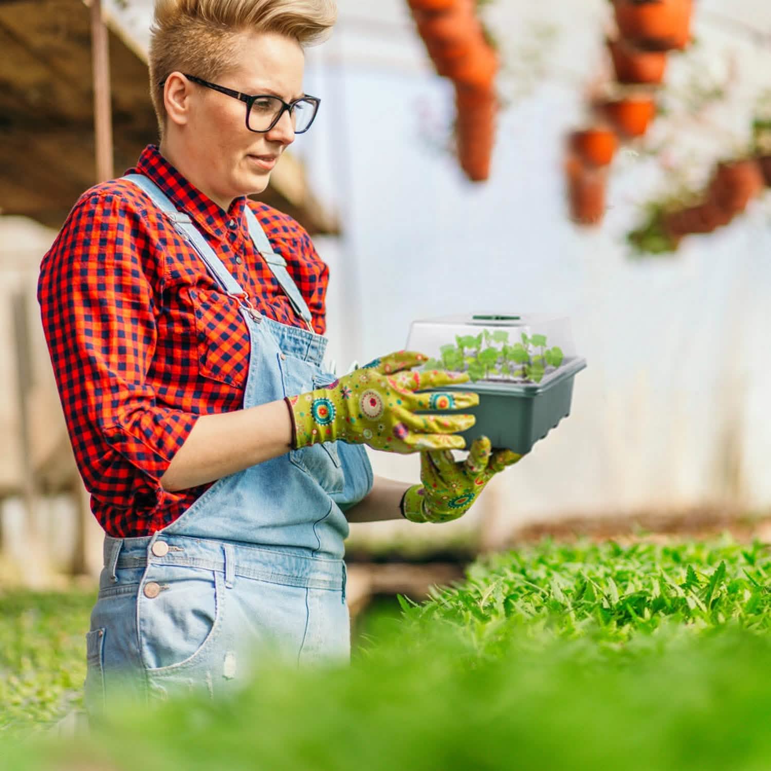 10-Piece: Reusable Seed Starter Tray Kit Garden & Patio - Tophatter Daily Deals