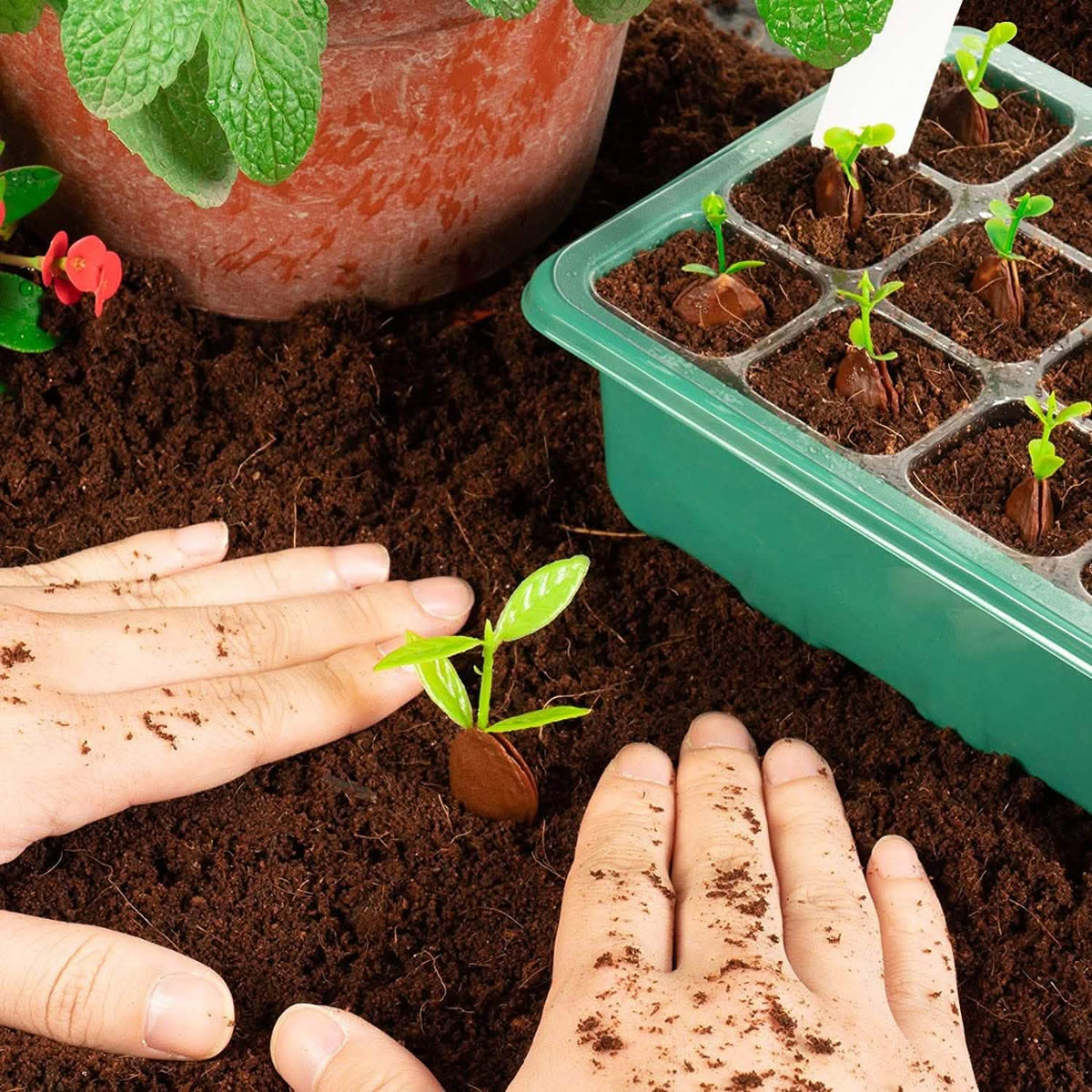 10-Piece: Reusable Seed Starter Tray Kit Garden & Patio - Tophatter Daily Deals
