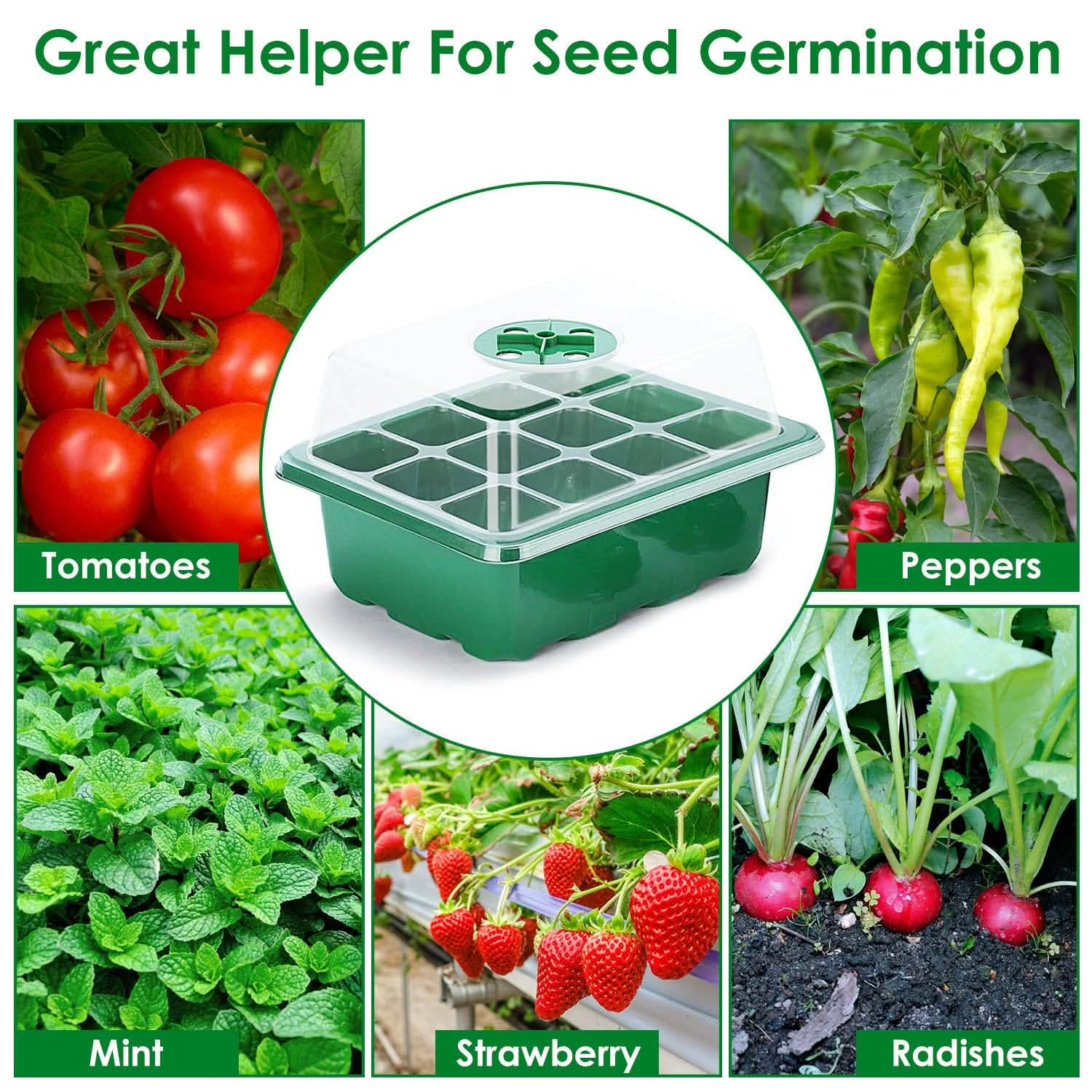 10-Piece: Reusable Seed Starter Tray Kit Garden & Patio - Tophatter Daily Deals