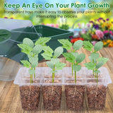 10-Piece: Reusable Seed Starter Tray Kit Garden & Patio - Tophatter Daily Deals