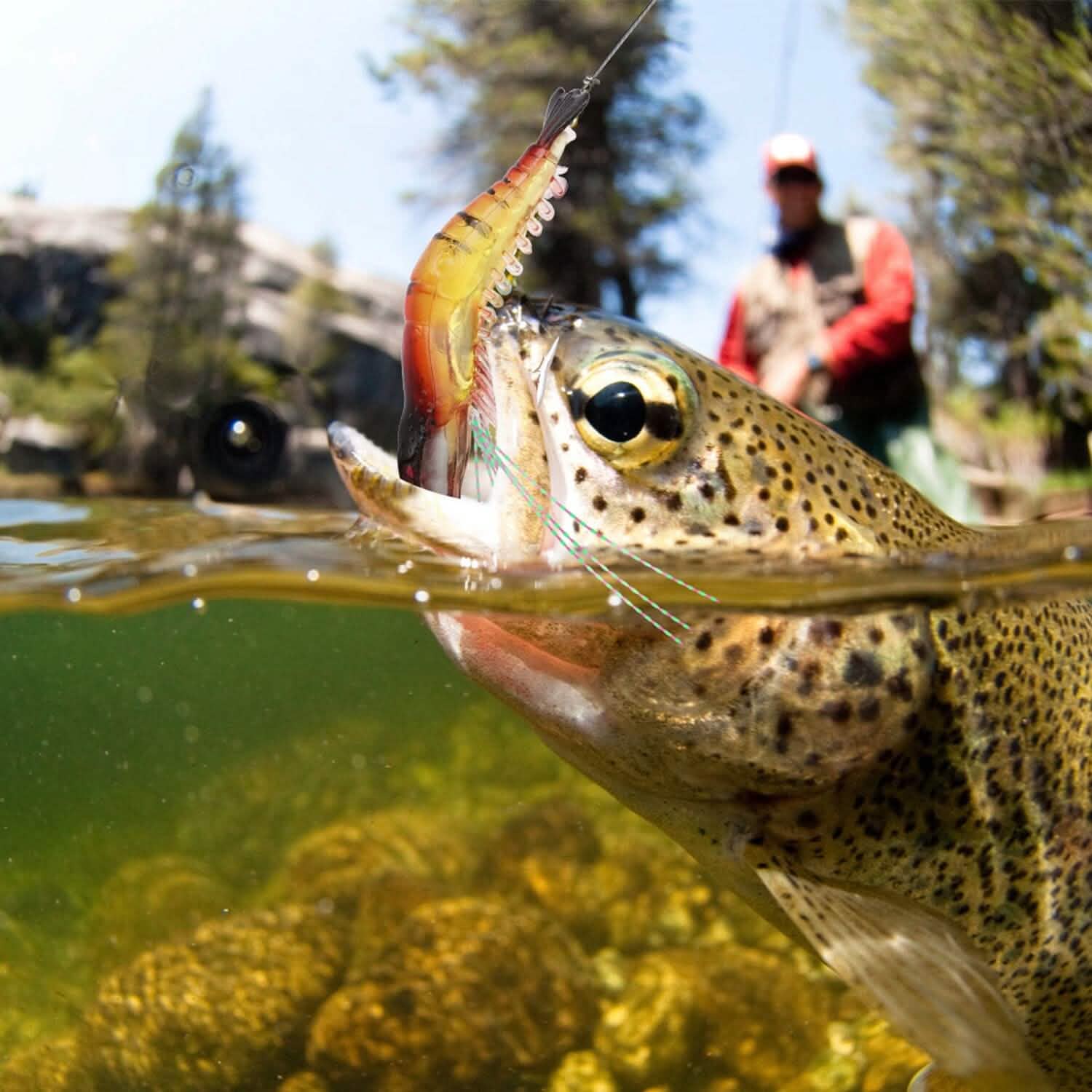 10-Piece: Silicon Shrimp Bait Set Outdoor Recreation - Tophatter Daily Deals