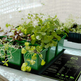 10" x 20" Seedling Heat Mat for Seed Germination Garden & Patio - Tophatter Daily Deals
