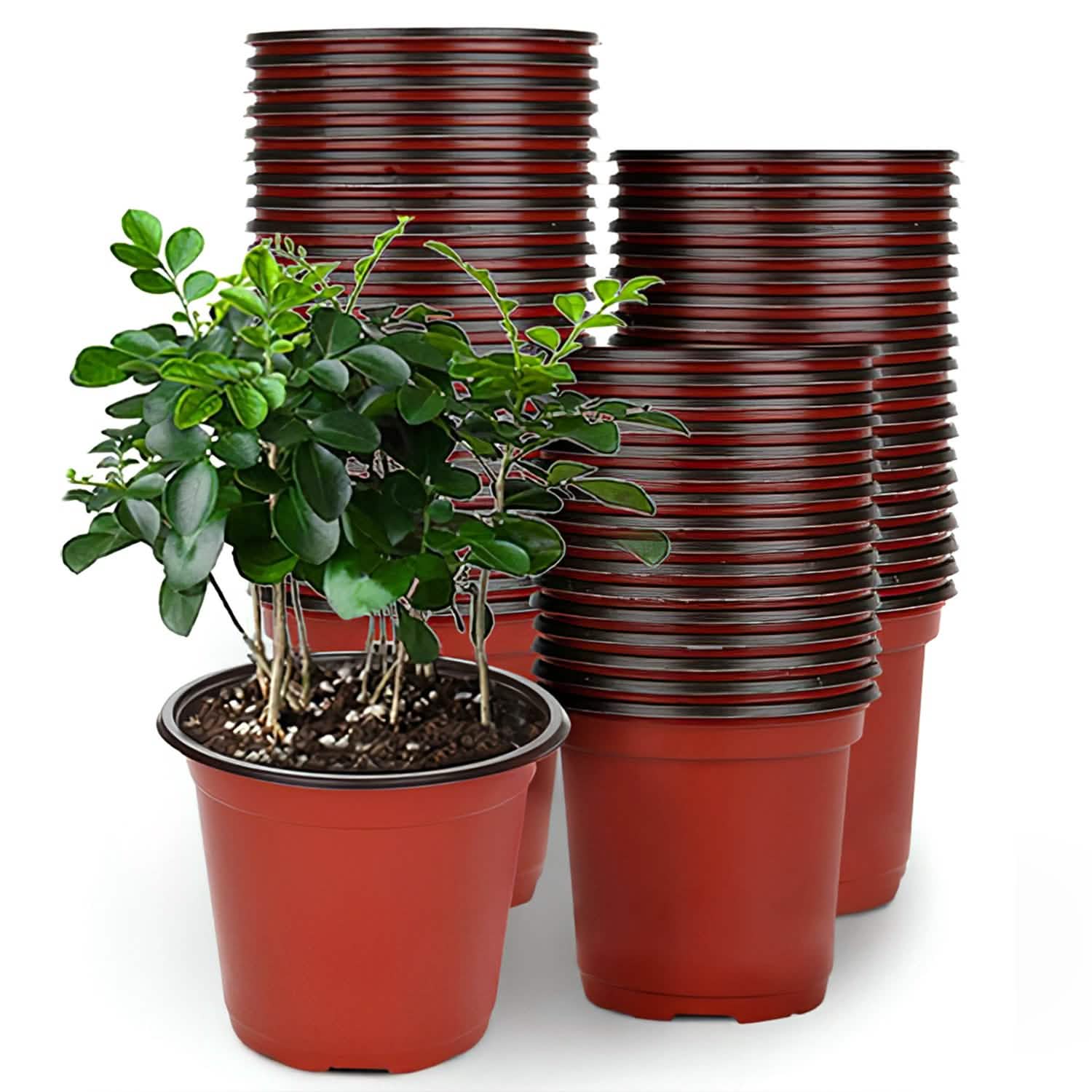 100-Piece: Plastic Plant Nursery Pots 170mm Garden & Patio - Tophatter Daily Deals