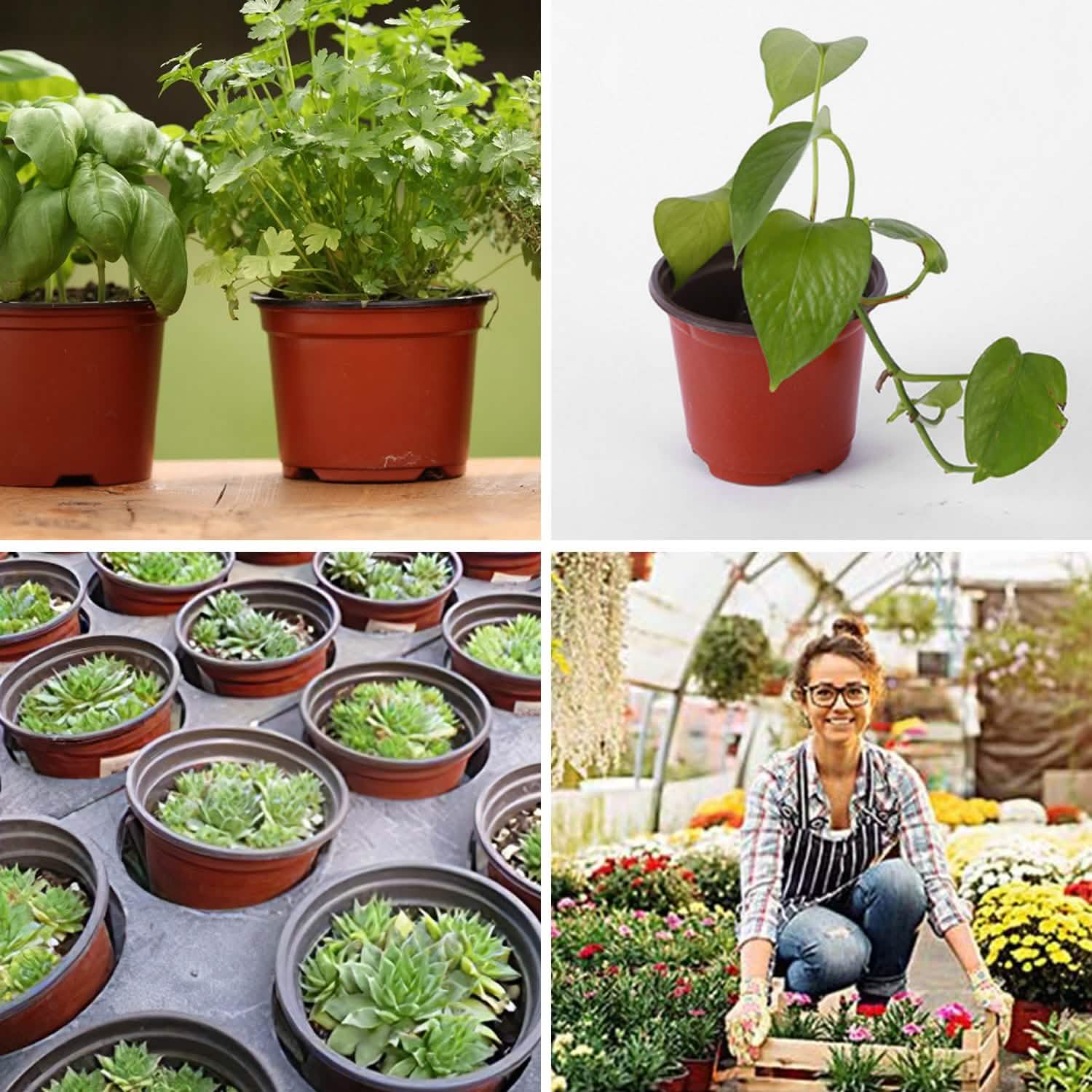 100-Piece: Plastic Plant Nursery Pots Garden & Patio - Tophatter Daily Deals