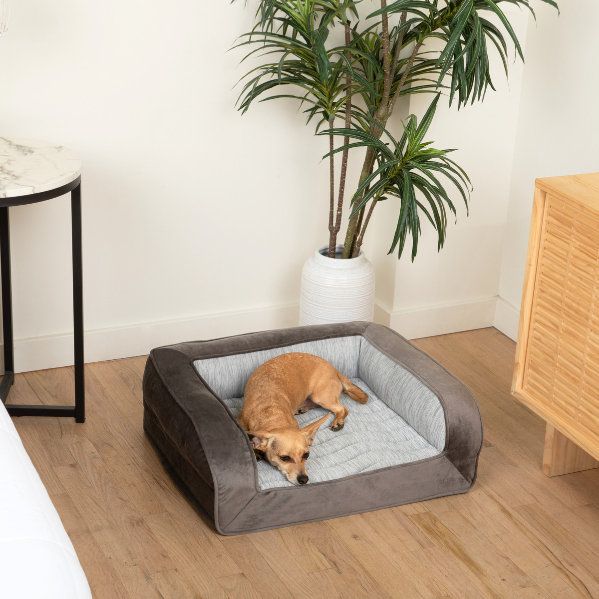 PupChill™ Cooling Bolster Dog Bed Pet Beds - Tophatter Daily Deals