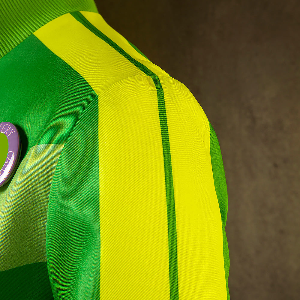 Persona 4 Golden Satonaka Chie Green Cosplay Costume Costume - Tophatter Daily Deals