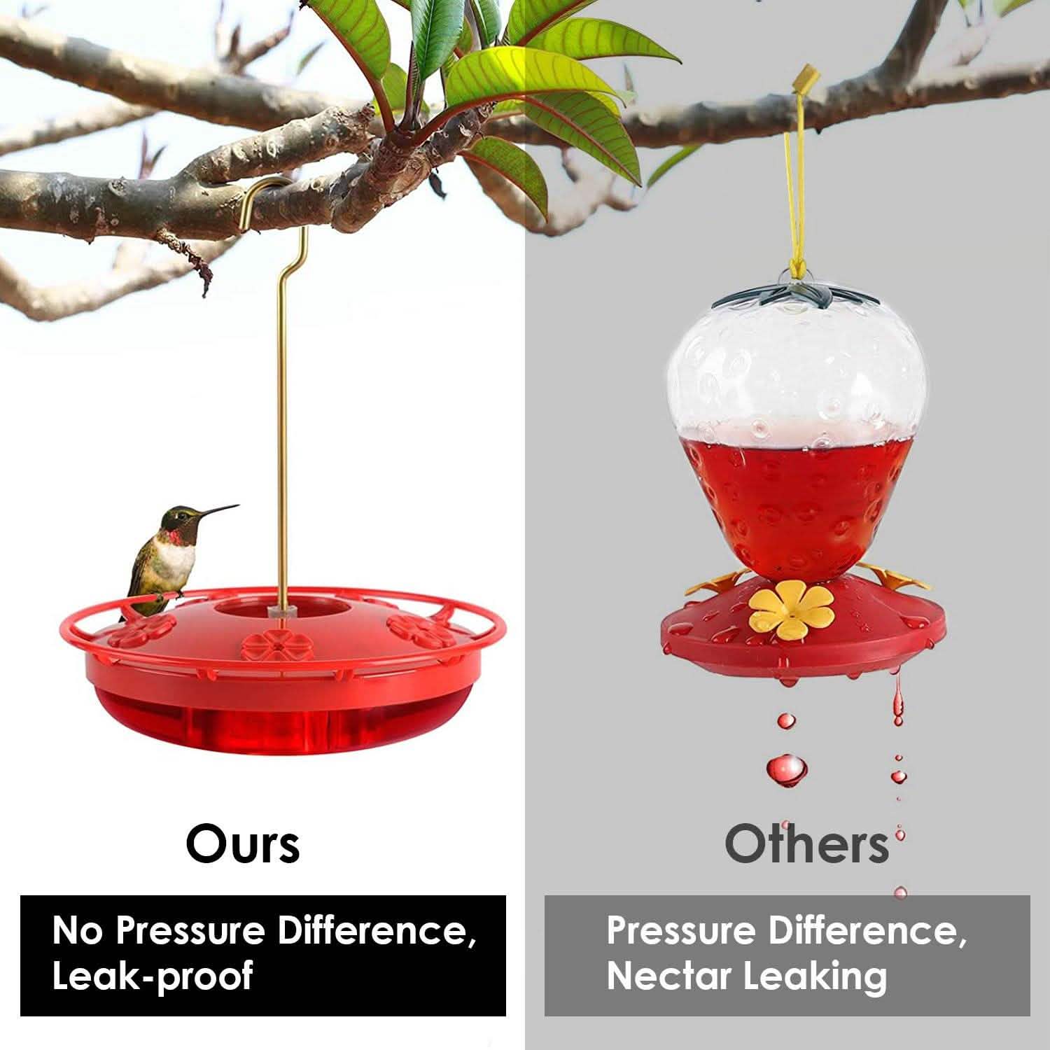 12 Oz Hummingbird Feeder Garden & Patio - Tophatter Daily Deals