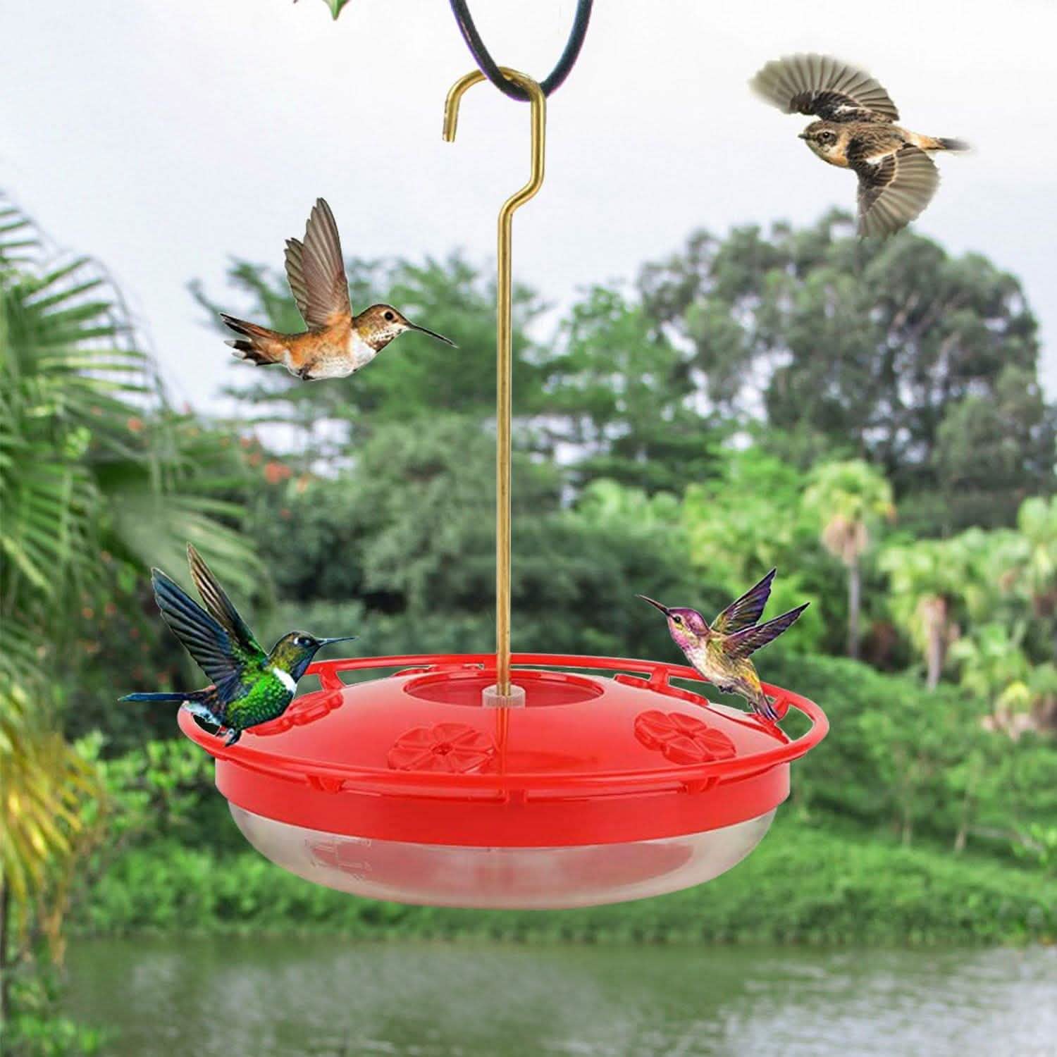 12 Oz Hummingbird Feeder Garden & Patio - Tophatter Daily Deals