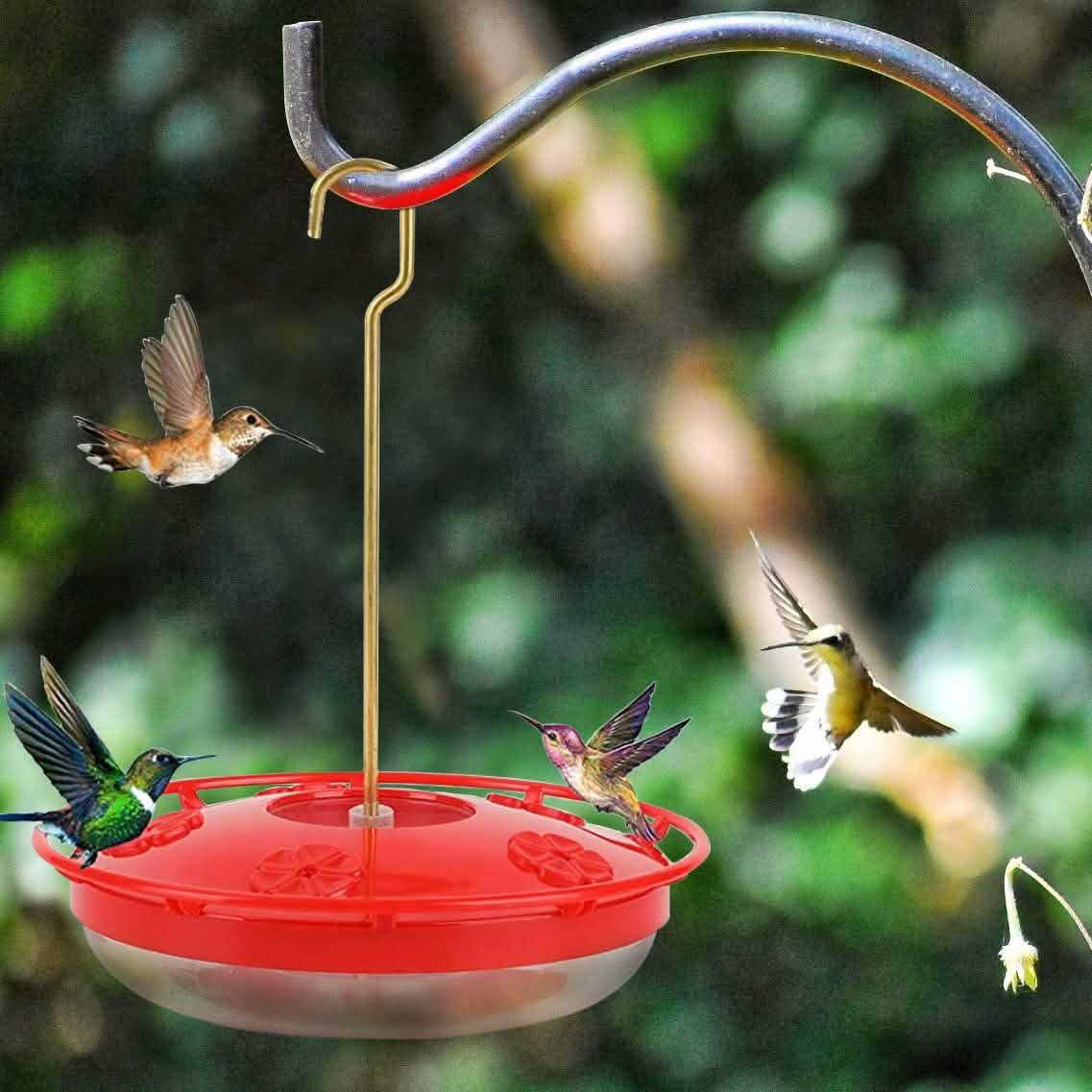 12 Oz Hummingbird Feeder Garden & Patio - Tophatter Daily Deals