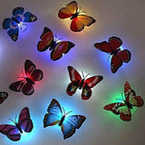 12-Pack: LED Butterfly Decoration Night Light Indoor Lighting - Tophatter Daily Deals