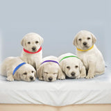 12-Piece: Whelping ID Collars Color Set Pet Supplies - Tophatter Daily Deals