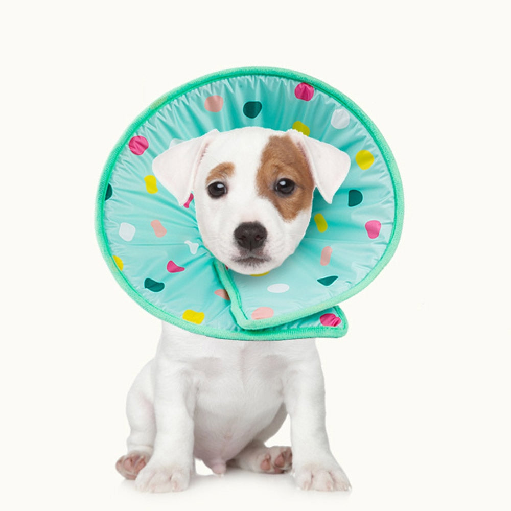 Anti Lick And Scratch Protection Ring For Pet Products 0 - Tophatter Daily Deals