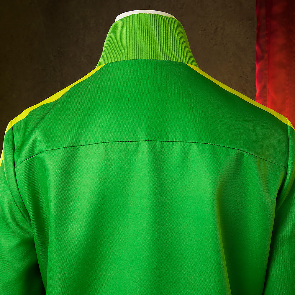 Persona 4 Golden Satonaka Chie Green Cosplay Costume Costume - Tophatter Daily Deals