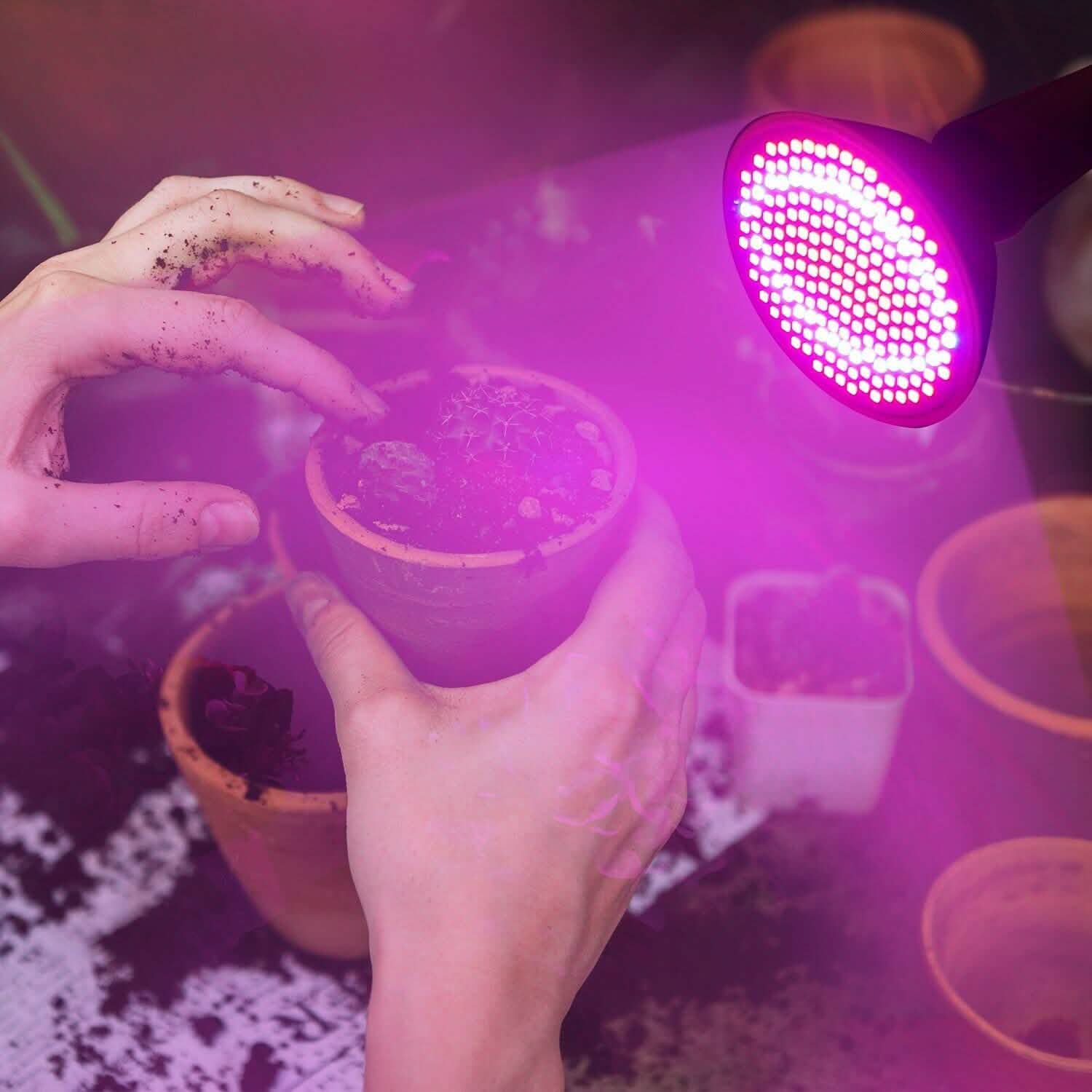 12W LED 360° Rotatable Plant Grow Light with Desk Clip Garden & Patio - Tophatter Daily Deals