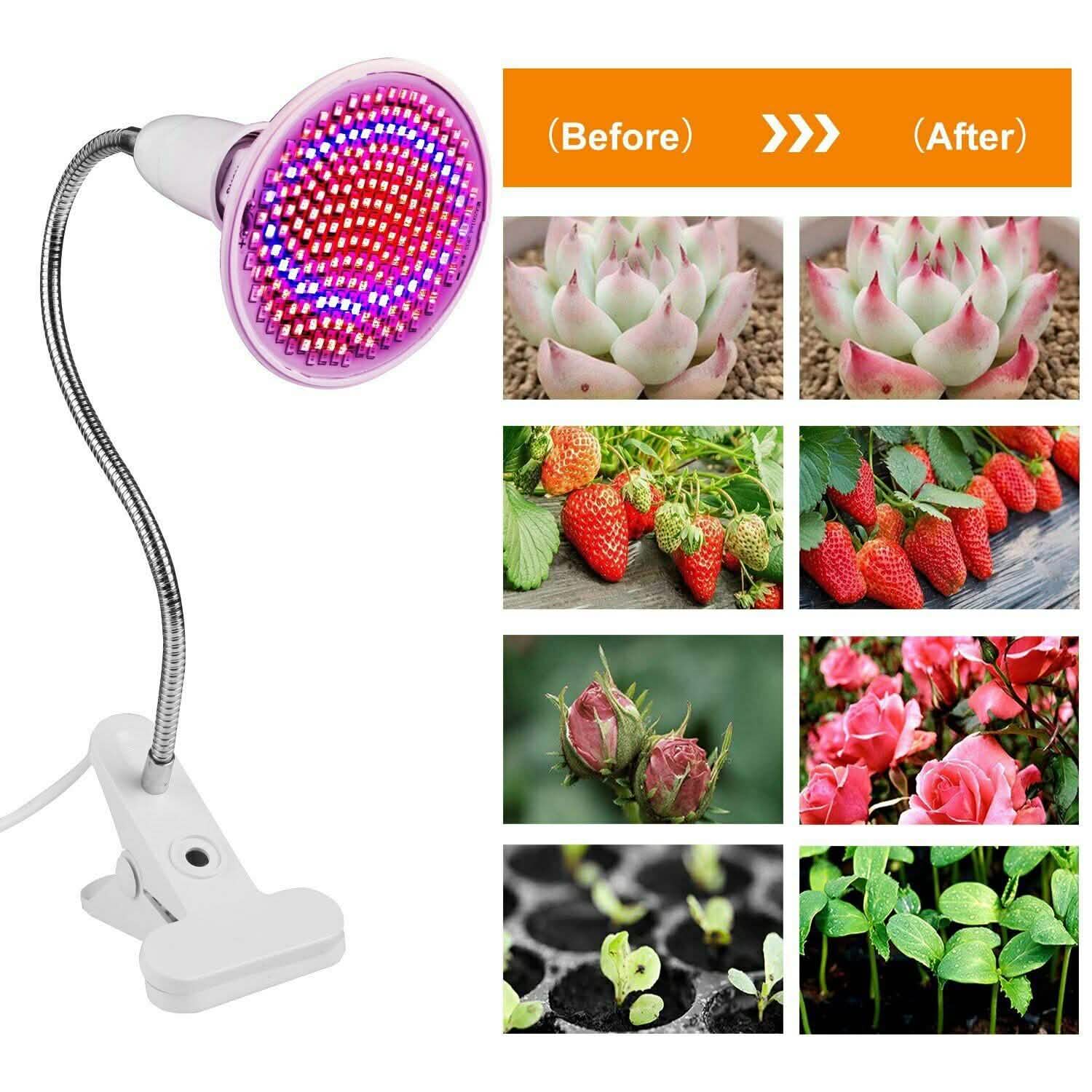 12W LED 360° Rotatable Plant Grow Light with Desk Clip Garden & Patio - Tophatter Daily Deals