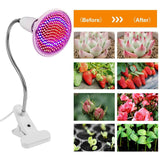12W LED 360° Rotatable Plant Grow Light with Desk Clip Garden & Patio - Tophatter Daily Deals