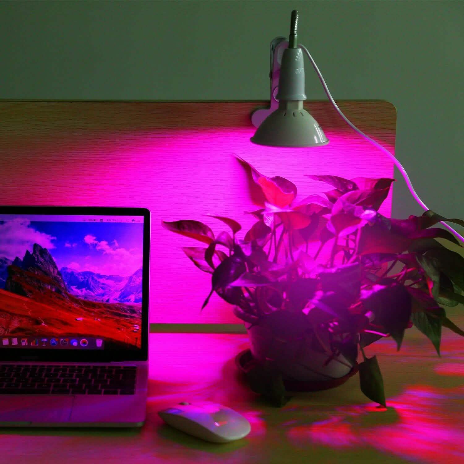 12W LED 360° Rotatable Plant Grow Light with Desk Clip Garden & Patio - Tophatter Daily Deals