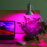 12W LED 360° Rotatable Plant Grow Light with Desk Clip Garden & Patio - Tophatter Daily Deals