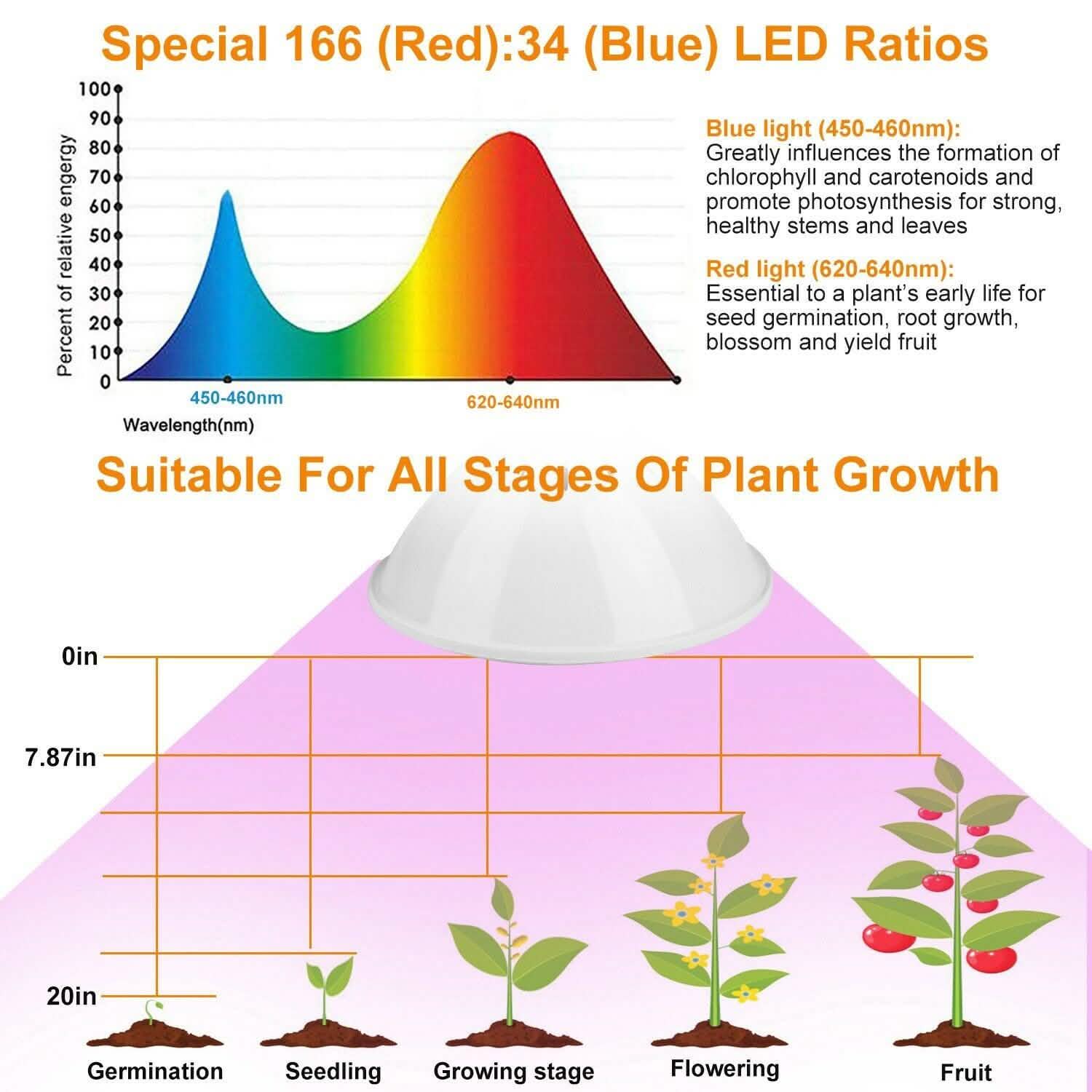 12W LED 360° Rotatable Plant Grow Light with Desk Clip Garden & Patio - Tophatter Daily Deals