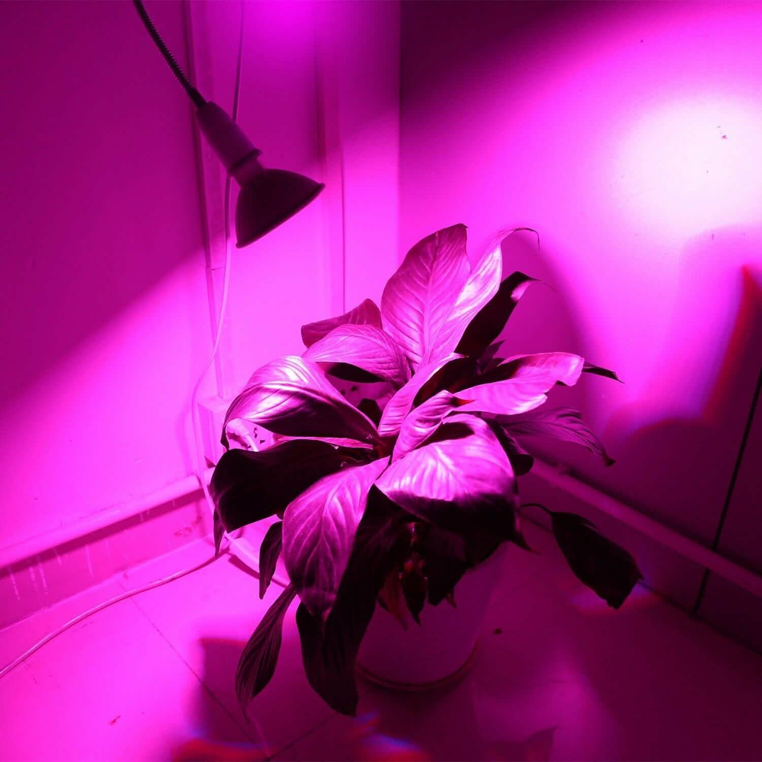 12W LED 360° Rotatable Plant Grow Light with Desk Clip Garden & Patio - Tophatter Daily Deals