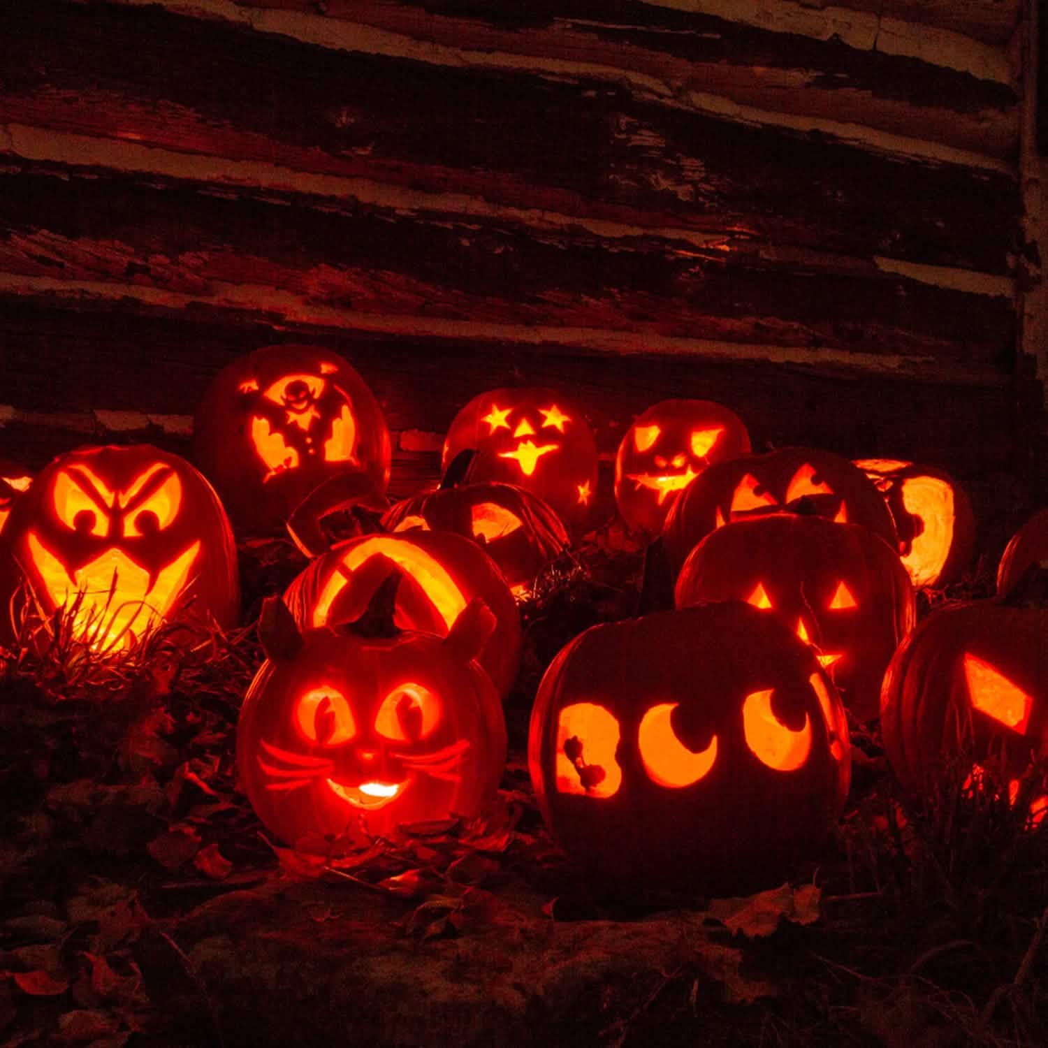 13-Pieces: Halloween Pumpkin Stainless Steel Carving Kit School, Office & Art Supplies - Tophatter Daily Deals