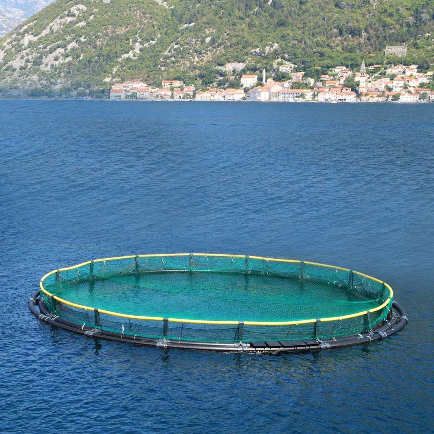 13 x 33 Ft. Garden Net Garden & Patio - Tophatter Daily Deals