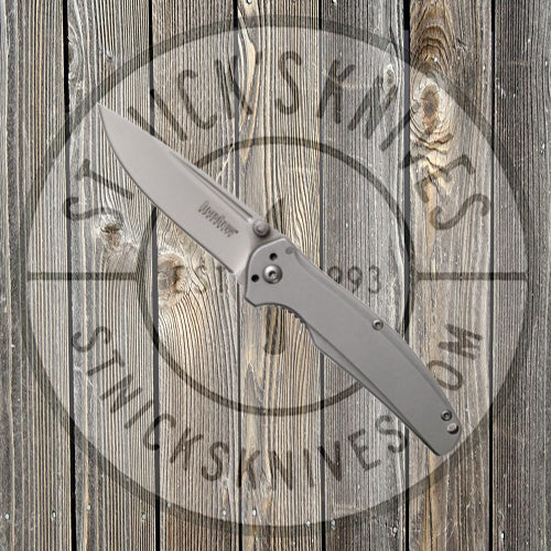 Kershaw - Catalytic - Assisted Opening - Silver - Drop Point - 1341 Knives - Tophatter Daily Deals