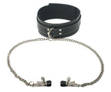 Coveted Collar and Clamp Union Set > Bondage Gear > Collars & Leashes - Tophatter Daily Deals