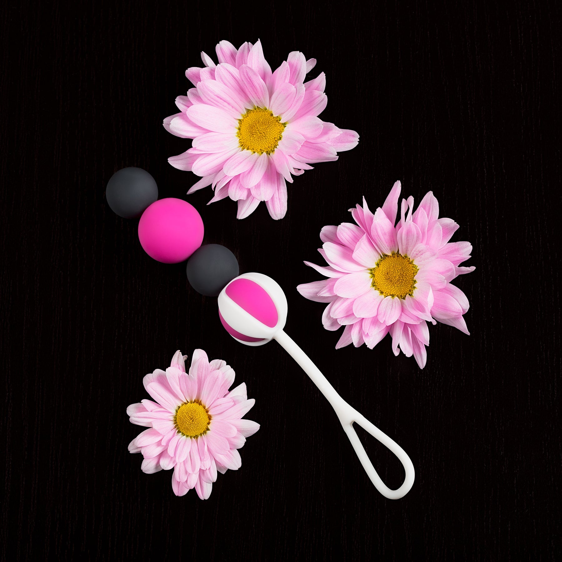 Geisha Balls Magnetic Set of 4 Sizes 15g to 27g > Sex Toys For Ladies > Kegel Exercise - Tophatter Daily Deals