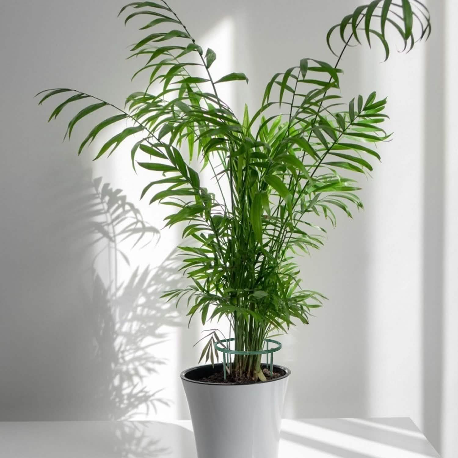 15-Piece: Garden Plant Support Stakes Garden & Patio - Tophatter Daily Deals