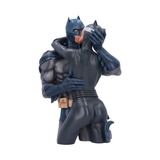 Batman & Catwoman DC Collectible Bust Statue - Tophatter Daily Deals