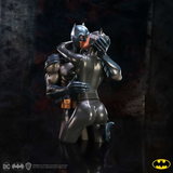 Batman & Catwoman DC Collectible Bust Statue - Tophatter Daily Deals