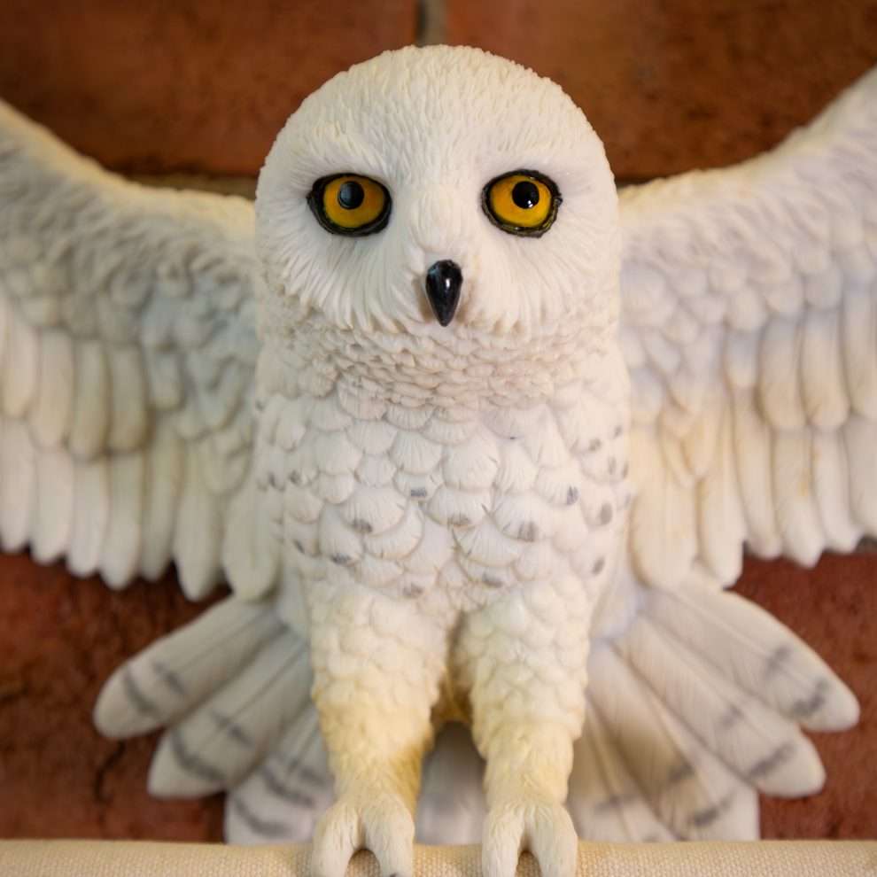 Harry Potter – Official Hedwig Owl Post Wall Décor Wall Decoration - Tophatter Daily Deals