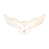 Harry Potter – Official Hedwig Owl Post Wall Décor Wall Decoration - Tophatter Daily Deals