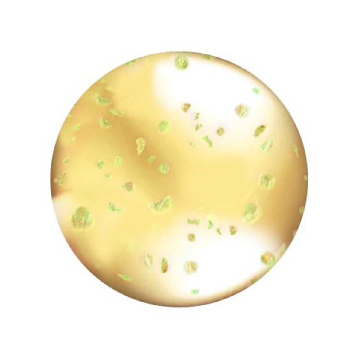 LA Colors Nourishing Lip Oil - Hunnybun - Tophatter Daily Deals