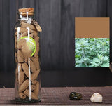 Backflow Incense Grain Natural Aromatherapy Indian Sandalwood Room Smoke Tower J 0 - Tophatter Daily Deals