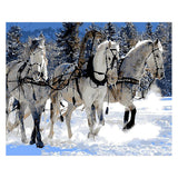 Black And White Horse DIY Digital Oil Painting Frameless Combo Frame 02style 40x50cm 0 - Tophatter Daily Deals