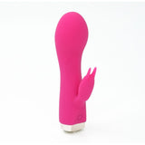 Skins Minis - The Bijou Bunny Mini Vibrator 4 Inches > Vibrators > Ladies > Rabbit - Tophatter Daily Deals