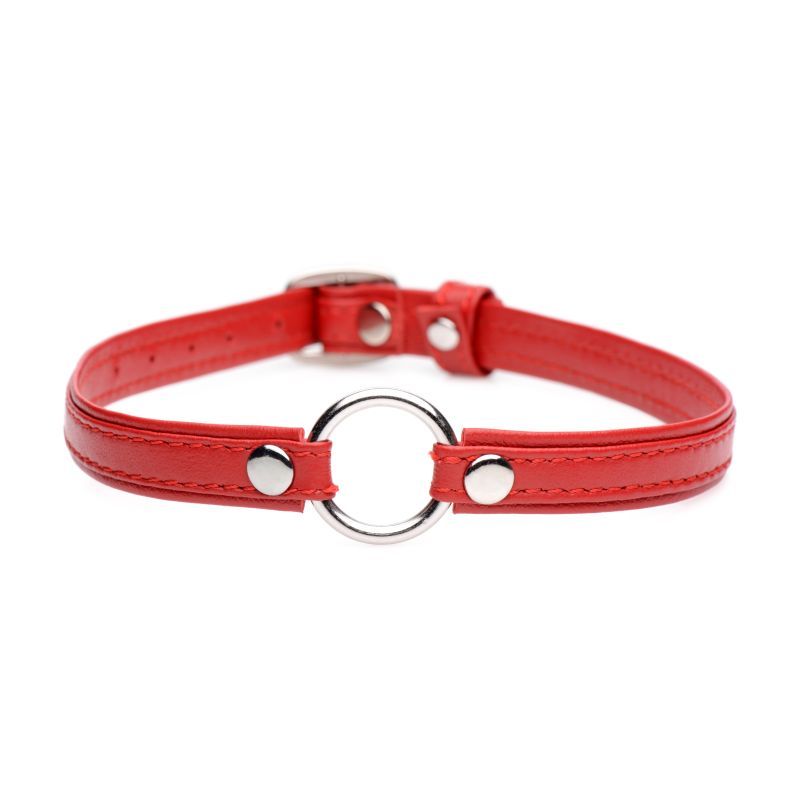 Fiery Pet Leather Choker with Silver Ring in Red > Clothes > Womens Leather - Tophatter Daily Deals